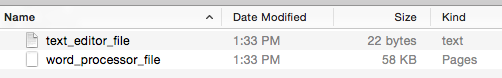 text_file_vs_word_processor_document