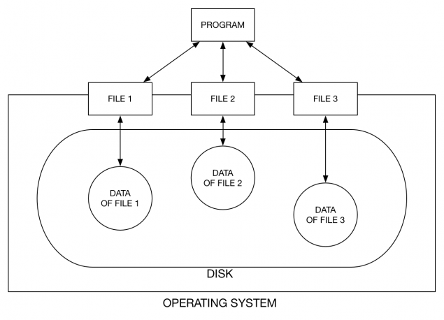 files_stored_on_disk