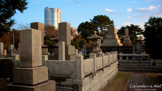 aoyama_graveyard- 014