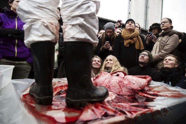 marius_murder_19